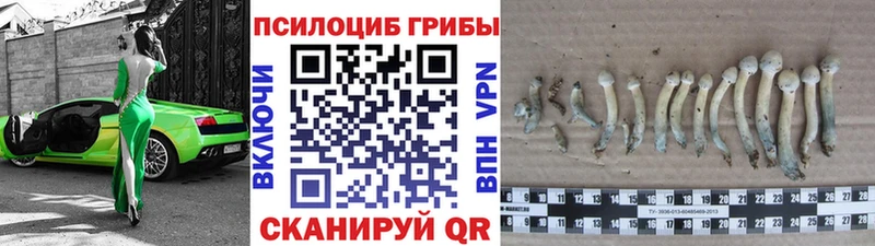 Псилоцибиновые грибы GOLDEN TEACHER Мирный