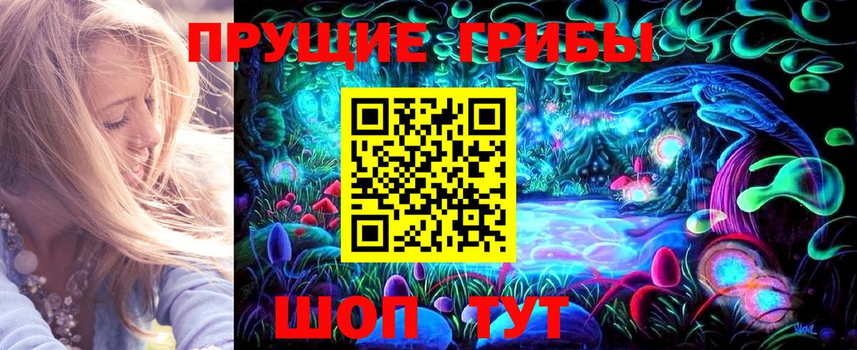 Мирный  цена наркотик  Галлюциногенные грибы Psilocybine cubensis  Вход с VPN  Псилоцибиновые грибы Cubensis 
